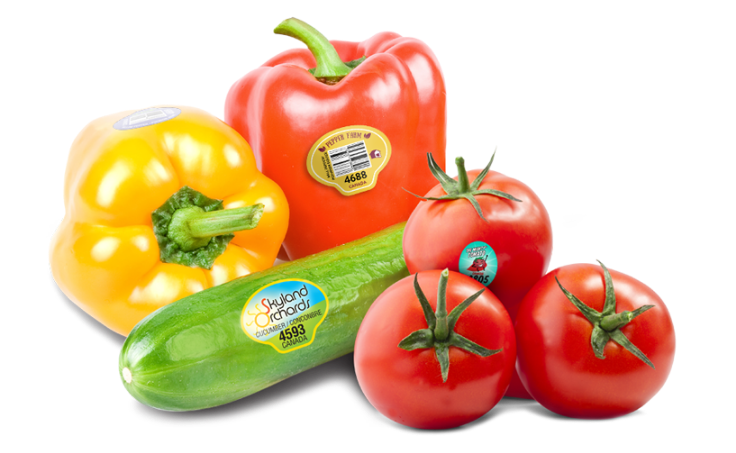 PLU labels for produce identification and food-safe labelling